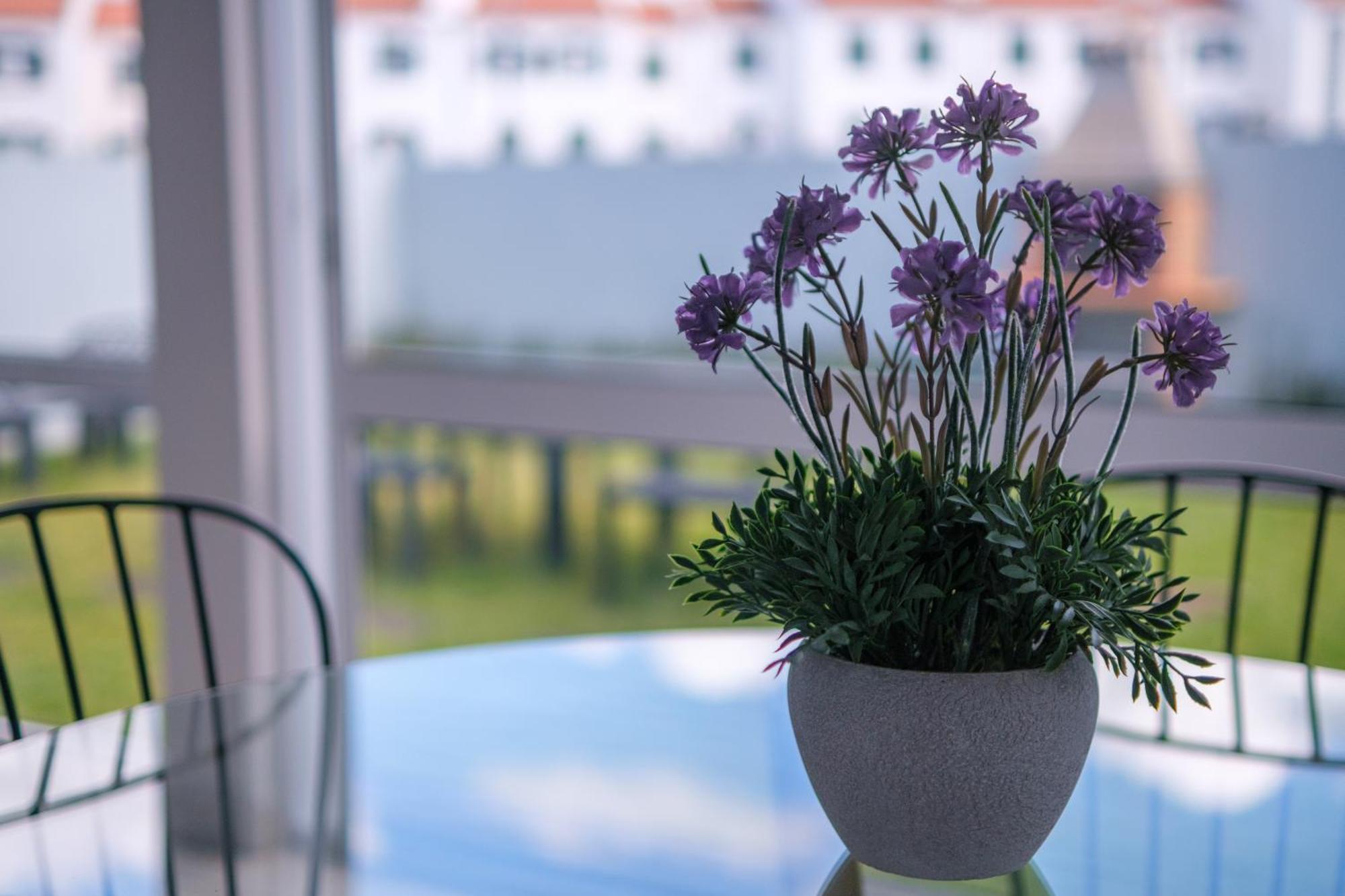 Areal De Santa Barbara Guest House 大里贝拉 外观 照片